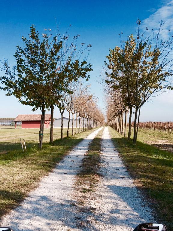 Agriturismo Podere Dell'Angelo Pasiano Di Pordenone Extérieur photo